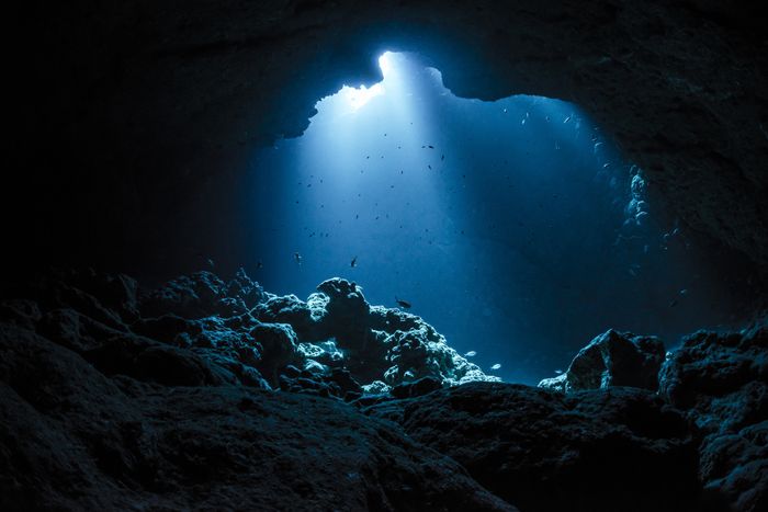 An image depicting an underwater landscape