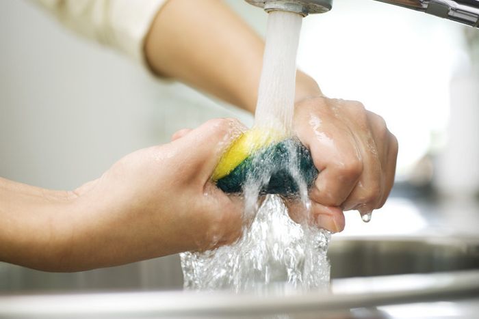 A person holding a kitchen sponge under running water.
