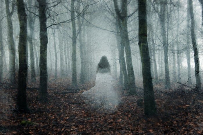 A translucent image of a woman walking through a forest of trees