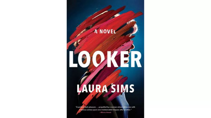 Looker, by Laura Sims