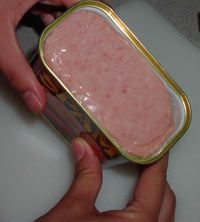 A Can of Spam