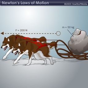 A dog pulling a sled, illustrating the f = ma equation
