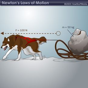 A dog pulling a sled, demonstrating F = ma