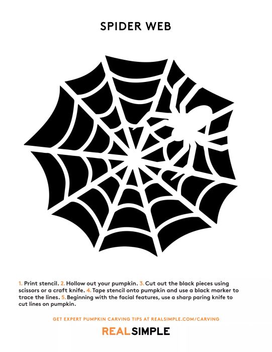Spider Web Pumpkin Carving Stencil