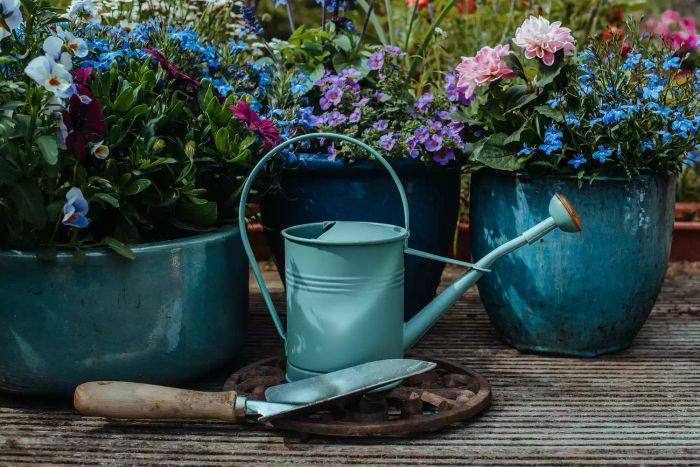 Gardening tools and vibrant flowers arranged on a terrace in a lush garden