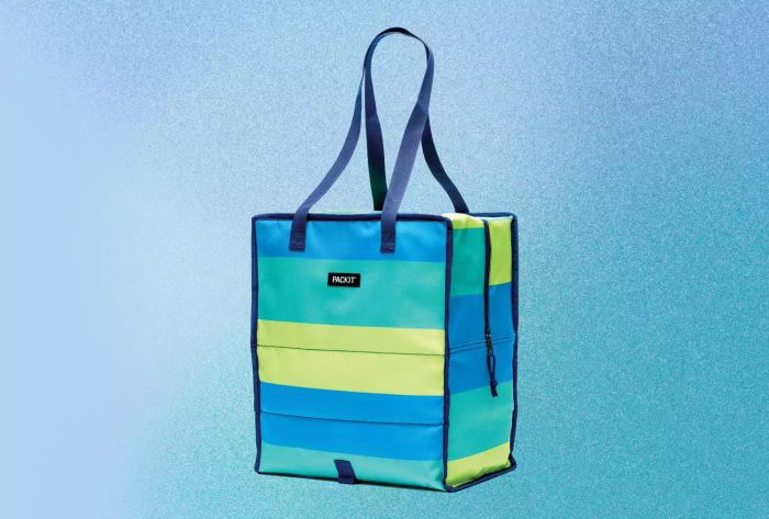Our recommended PackIt Freezable Grocery Tote Bag displayed on a blue background