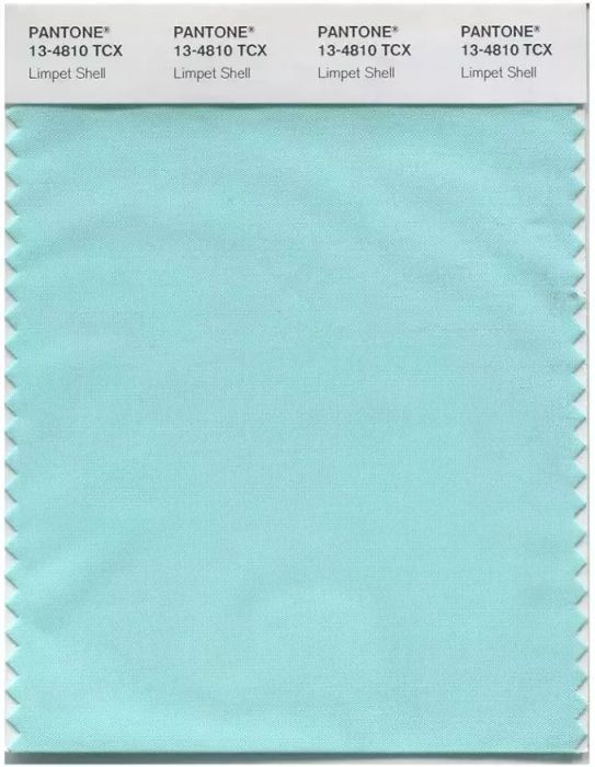 lumpet shell pantone swatch
