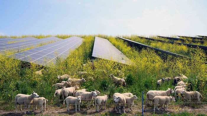 Agrivoltaics
