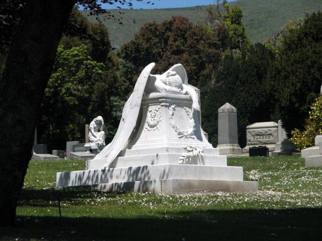 7 colma
