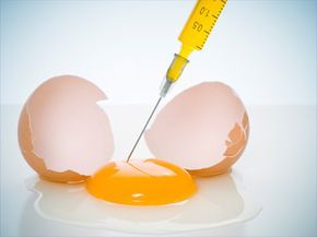 A syringe piercing the yolk of an egg.