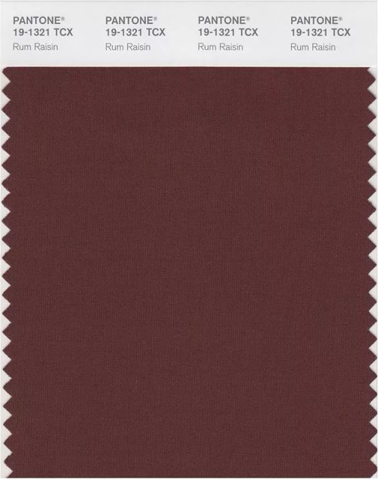 Pantone's Rum Raisin