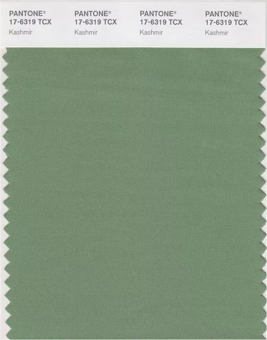 Pantone's Kashmir