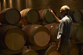 An experienced man inspects a glass of wine by holding it up to the light in a wine cellar