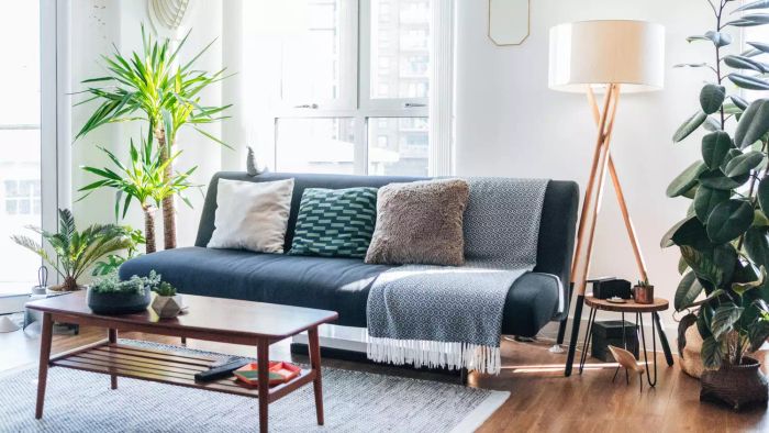 A comprehensive guide to essential items for your first apartment, complete with a printable checklist