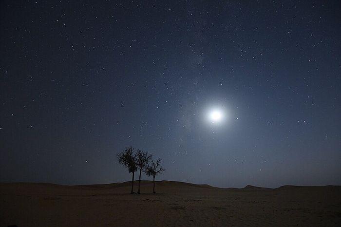 File: Abu Dhabi Desert.jpg