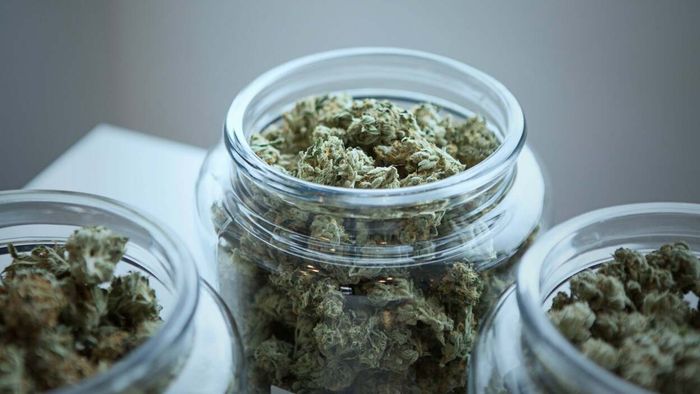 What You Should Expect to Pay for Legal Weed, According to a Budtender’s Insights