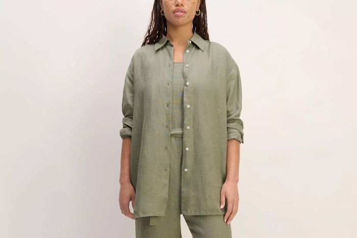 Everlane The Boyfriend Shirt
