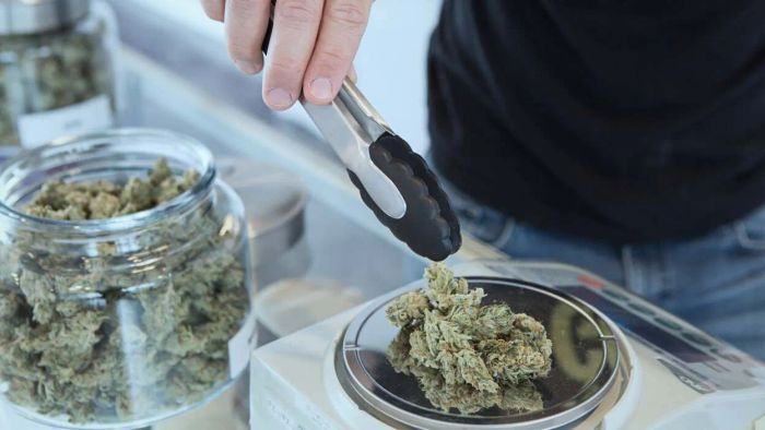 To Enhance Your Cannabis Shopping, Zero In on the Way You Want to Feel