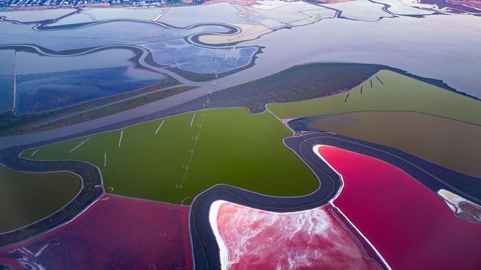Salt ponds serve as a key source for harvesting salt.