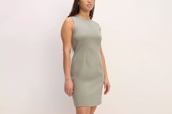 Everlane's Dream '90s Shift Dress