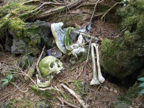 Aokigahara 3