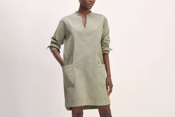 Everlane The Long-Sleeve Utility Mini Dress