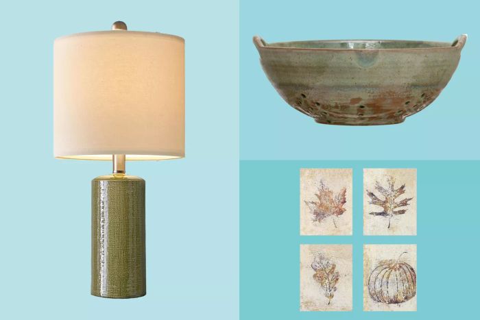 A curated list of fall decor items found by interior designers, all priced under $50.