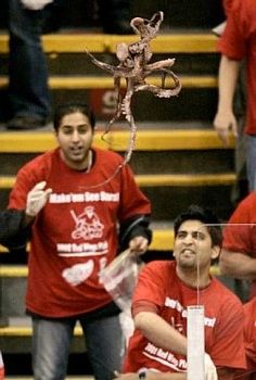 In 2009, the Detroit Red Wings' NHL fans brought an unusual tradition to life: tossing octopuses onto the rink. This practice originated in 1952 when fewer teams meant it took just eight wins to secure the Stanley Cup. To commemorate this, Pete and Jerry Cusimano threw an octopus onto the ice, symbolizing the Red Wings’ eight games against the Toronto Maple Leafs and Montreal Canadiens. Over the years, hundreds of octopuses have been tossed onto the rink, including one weighing 50 lbs, tossed by Bob Dubisky and Larry Shotwell. The Superior Fish Market, where these octopuses are purchased, even hands out an “Octoquette”—a pamphlet with guidelines for safe tossing, such as boiling the octopus beforehand, waiting for a Red Wings goal before throwing it, and ensuring no players or staff are in the line of fire.