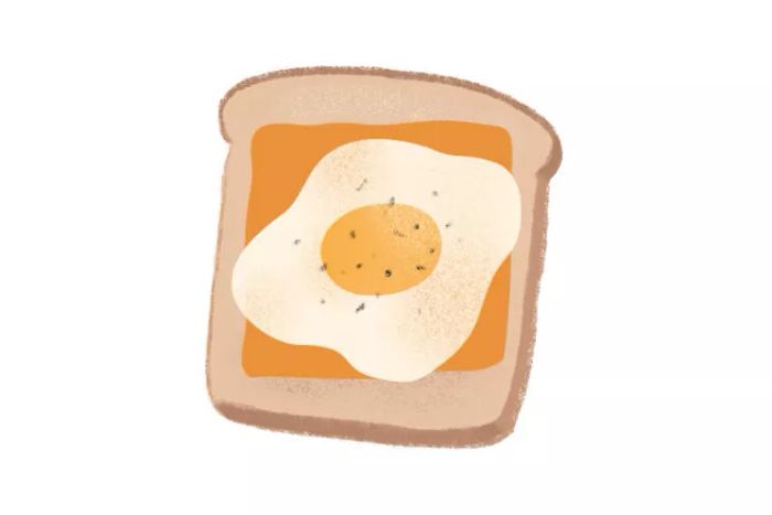 toast illo