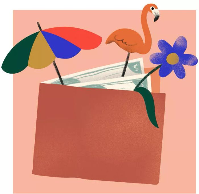 wallet illo