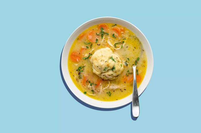 bClassic Chicken and Dumplings Recipe-05