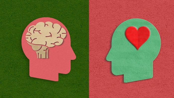 Two outlines of heads facing each other, one featuring a brain and the other a heart.