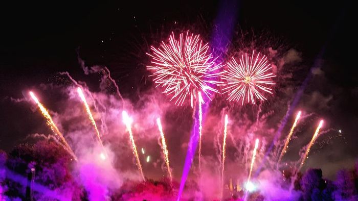 A vibrant display of pink and purple fireworks lighting up a dark sky