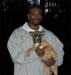 Michael Vick