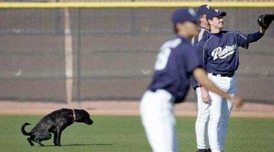 Hilarious Sports Moment 35
