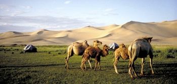 Mongolia 7
