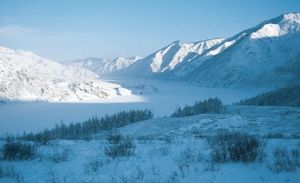 Image-14