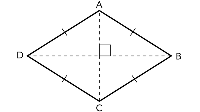 A basic illustration of a rhombus showing its sides and diagonals