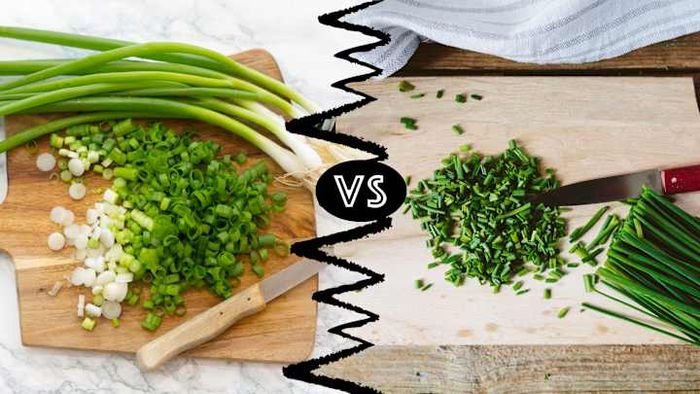 Here are the distinctions between green onions (on the left) and chives (on the right).