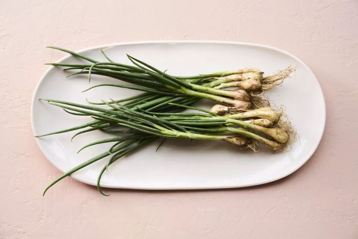 chives-vs-spring-onions-GettyImages-1250247936