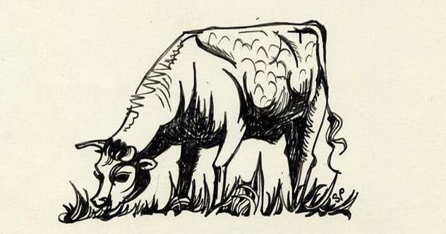 7-plath-cow