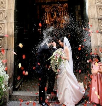 Wedding-Picture-Photo-Shower-Of-Rice-Jurvetson-Pic.Jpg