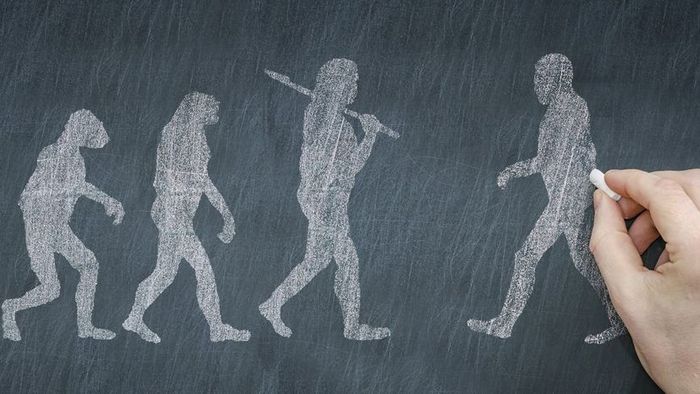 Illustration depicting human evolution