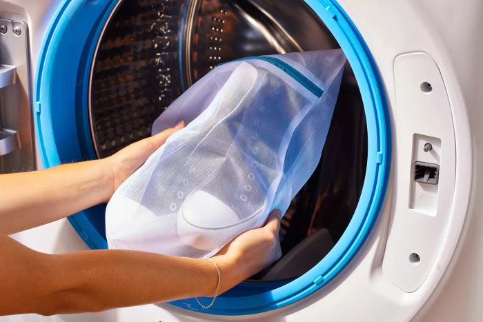 Dryer Use for Shoes
