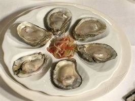 Oysters