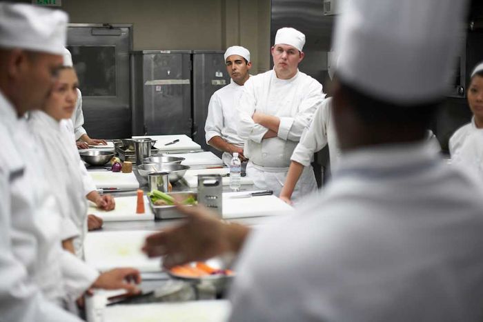 Chefs working in a commercial kitchen.