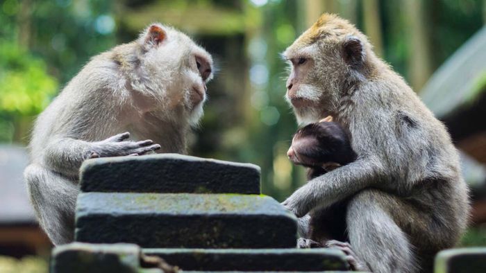 Effective Methods to Sharpen Your Communication Skills