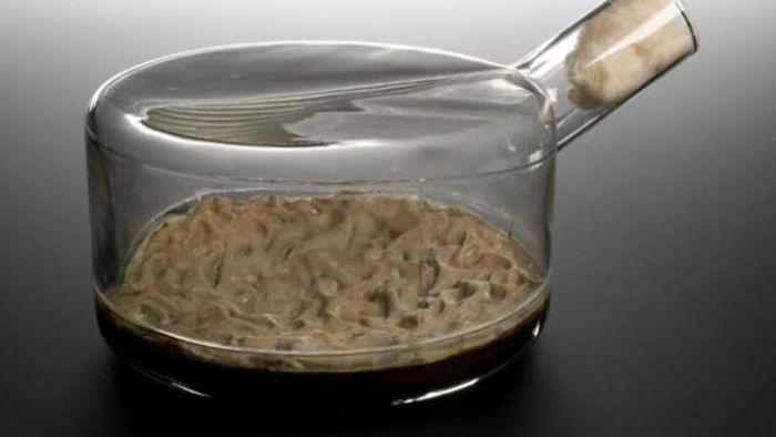 In the late 1930s and early 1940s, Glaxo (now GlaxoSmithKline) laboratories used thousands of glass fermentation vessels like this one to produce penicillin. The penicillium mold was cultivated on the surface of a nutrient-rich liquid.