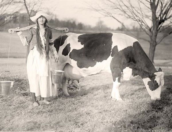Milk-Maid