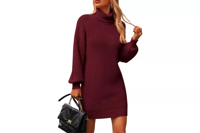 PRETTYGARDEN Long Sleeve Sweater Dress